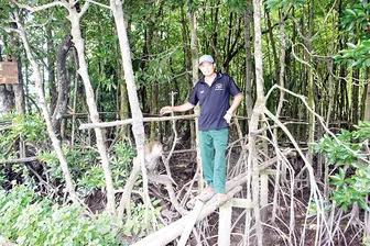 Xã đảo giàu sức sống