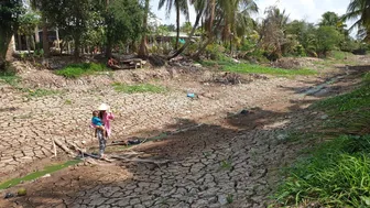 Chủ động ứng phó xâm nhập mặn ở ĐBSCL