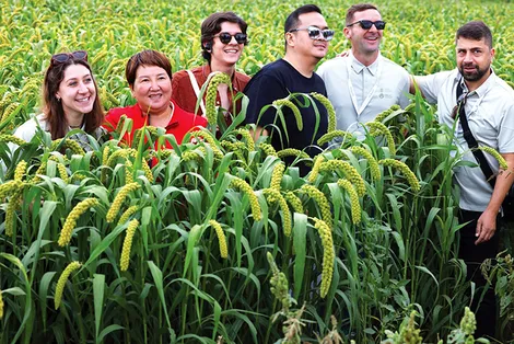 Thế giới trong xu hướng canh tác hữu cơ