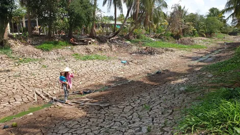 Chủ động ứng phó xâm nhập mặn ở ĐBSCL