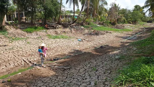 Chủ động ứng phó xâm nhập mặn ở ĐBSCL
