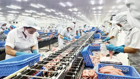 Doanh nghiệp Tây Đô tích lũy nội lực để vươn tầm “toàn cầu”