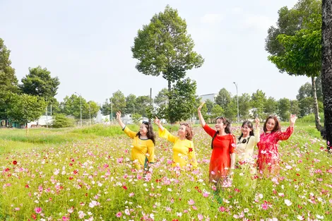 Lạc giữa ngàn hoa ngày đầu năm ở Cần Thơ