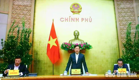 Chuẩn bị tốt nội dung về chống khai thác IUU để làm việc với EC từ ngày 9 đến 20-3