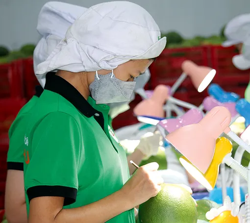 Tháng 1, kim ngạch xuất khẩu hàng hóa cả nước đạt 43,19 tỉ USD