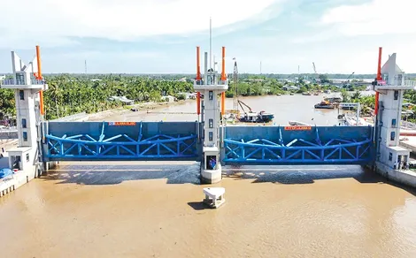 Tăng cường bảo vệ lúa đông xuân trước khô hạn và xâm nhập mặn