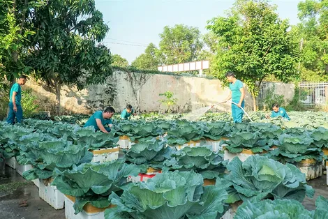 Tăng gia sản xuất, chăm lo đời sống cán bộ, chiến sĩ