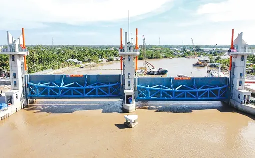 Tăng cường bảo vệ lúa đông xuân trước khô hạn và xâm nhập mặn