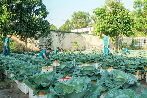 Tăng gia sản xuất, chăm lo đời sống cán bộ, chiến sĩ