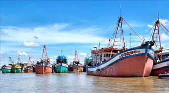Ca Mau steps up efforts to help with removing IUU fishing yellow card