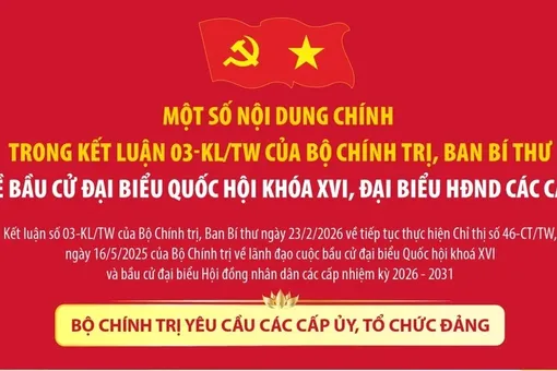 Kết luận 03-KL/TW của Bộ Chính trị, Ban Bí thư về lãnh đạo công tác bầu cử