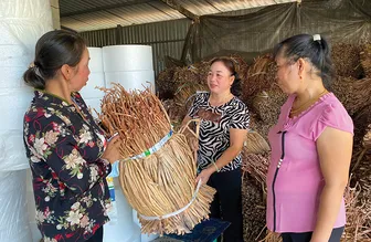 Giúp phụ nữ ổn định cuộc sống từ nghề đan đát