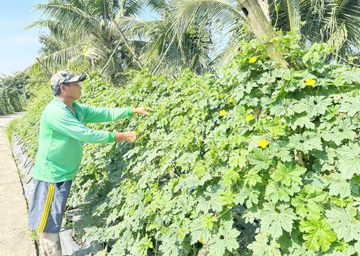 ជំ​នួយ​កម្លាំង​ដល់​គ្រួ​សារ​កសិករ​ក្រី​ក្រ​អភិ​វឌ្ឍ​សេដ្ឋ​កិច្ច