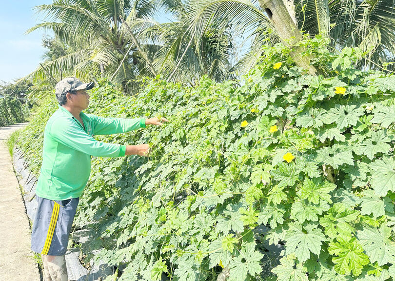 ជំ​នួយ​កម្លាំង​ដល់​គ្រួ​សារ​កសិករ​ក្រី​ក្រ​អភិ​វឌ្ឍ​សេដ្ឋ​កិច្ច