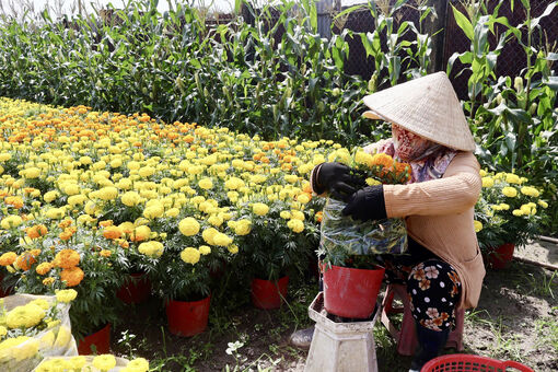 កសិករ​ខ្មែរ​រវៀស​រវៃ ច្នៃ​ប្រ​តិដ្ឋ​អភិ​វឌ្ឍន៍​សេដ្ឋ​កិច្ច​ជន​បទ