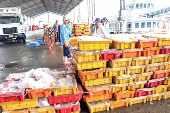 Ngư dân ra khơi cần nắm rõ quy định về thiết bị giám sát hành trình