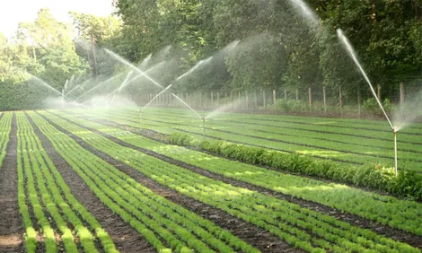 Xâm nhập mặn tiếp tục tăng cao trong những ngày tới