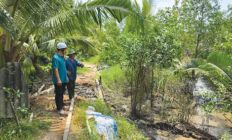 Đã đầu tư 29.907 tỉ đồng cho các công trình phòng, chống sạt lở tại ĐBSCL