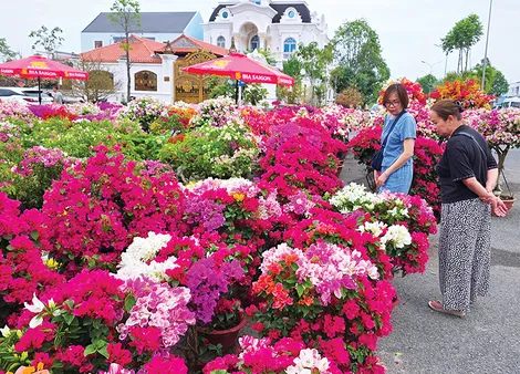 Bài toán bắt nhịp xu hướng thị trường