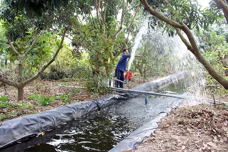 Chủ động ứng phó hạn, mặn mùa khô