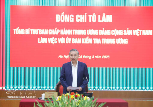 Party chief calls for shift towards early prevention in inspection, supervision work