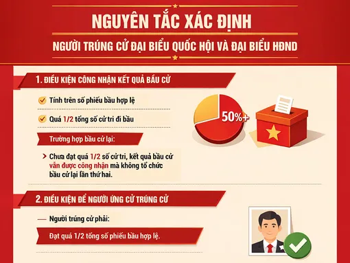 [INFOGRAPHICS] Nguyên tắc xác định người trúng cử đại biểu Quốc hội và đại biểu HĐND