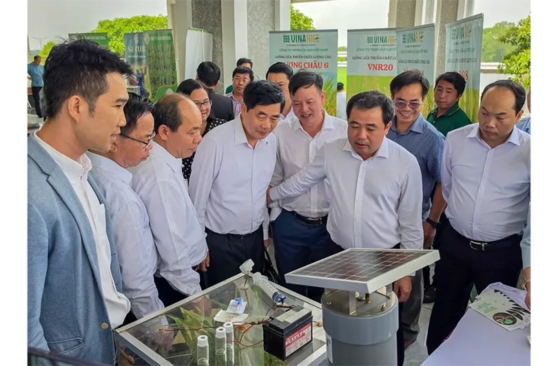 Đề án 1 triệu héc-ta lúa mang lại nhiều kết quả tích cực sau hai năm triển khai