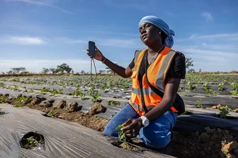 Nông dân châu Phi tận dụng mạng xã hội