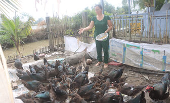 ប្រ​សិទ្ធ​ភាព​នៃ​គោល​ន​យោ​បាយ​