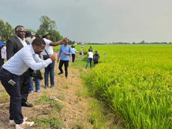 Đoàn lãnh đạo Bộ Nông nghiệp và Bộ Tài chính - Kế hoạch quốc gia Zambia tham quan học tập kinh nghiệm về chuyển đổi nông nghiệp của Việt Nam tại TP Cần Thơ