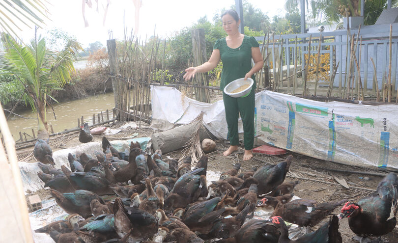 ប្រ​សិទ្ធ​ភាព​នៃ​គោល​ន​យោ​បាយ​