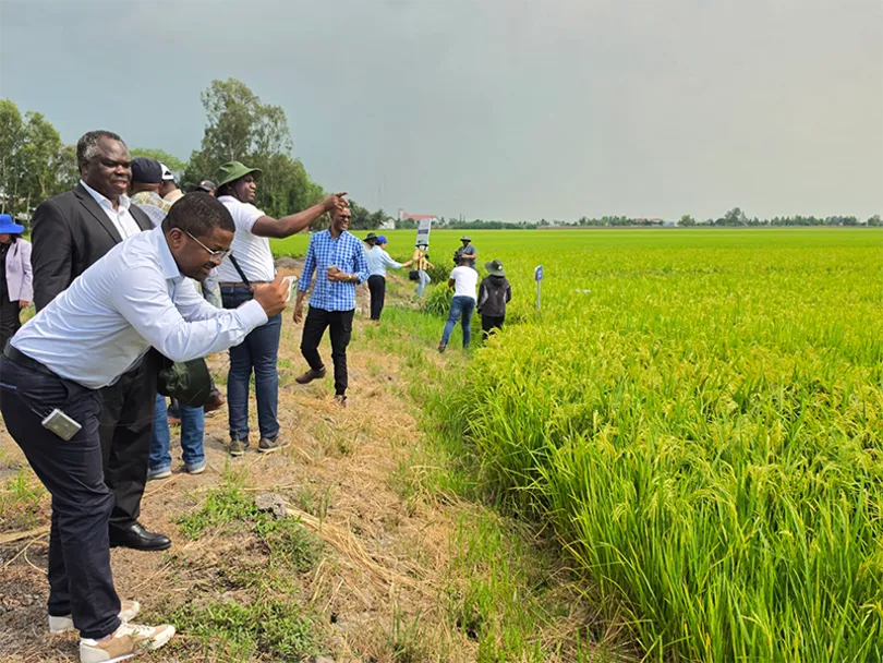 Đoàn lãnh đạo Bộ Nông nghiệp và Bộ Tài chính - Kế hoạch quốc gia Zambia tham quan học tập kinh nghiệm về chuyển đổi nông nghiệp của Việt Nam tại TP Cần Thơ