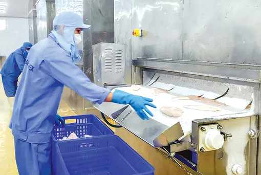 Kim ngạch xuất khẩu hàng hóa tăng 18,3% so với cùng kỳ