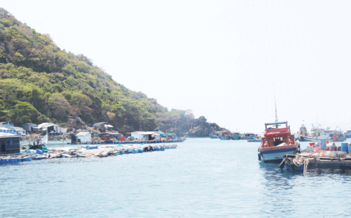 កោះហងជូយ ត្រៀមជាស្រេចសម្រាប់ថ្ងៃបោះឆ្នោត