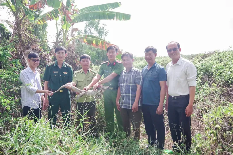 Thả cá thể Kỳ đà vân về môi trường tự nhiên