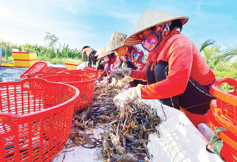 Giải pháp tạo đột phá cho tăng trưởng khu vực I