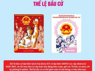 [INFOGRAPHICS] Thể lệ bầu cử