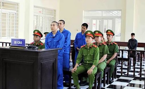 Mua bán, tổ chức sử dụng trái phép chất ma túy, 3 bị cáo lãnh án tù