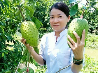 Từ trái mãng cầu quê nhà đến thương hiệu trà OCOP chuẩn 4 sao