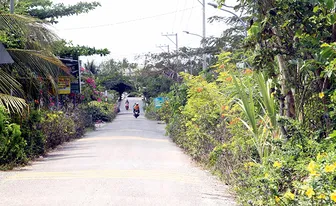 Cù Lao Dung có nhiều tiềm năng phát triển du lịch nhưng còn bị “níu chân” bởi hạ tầng giao thông