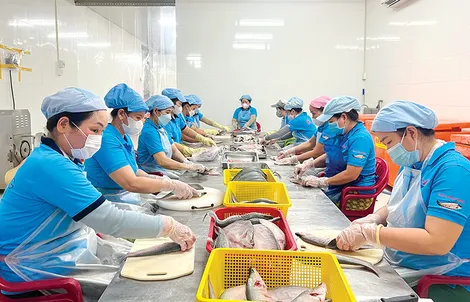 Cần Thơ: Phấn đấu tổng doanh thu của các hợp tác xã đạt 2.475 tỉ đồng năm 2026