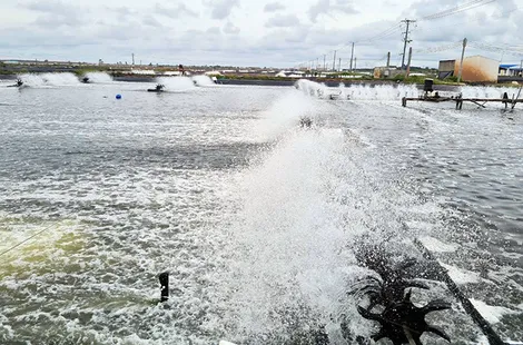 Cần Thơ chú trọng chuyển đổi số trong công tác quản lý nuôi trồng, khai thác thủy sản