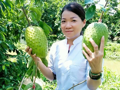 Từ trái mãng cầu quê nhà đến thương hiệu trà OCOP chuẩn 4 sao