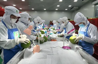 Nỗ lực duy trì tăng trưởng, tạo bứt phá xuất khẩu năm 2026