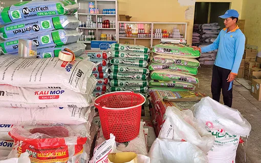 Giá phân bón tăng cao, nông dân gặp khó