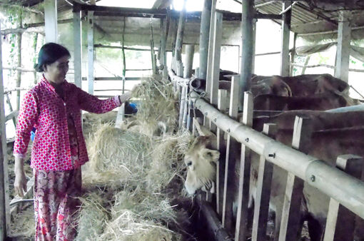 អនុវត្ត​ល្អ​គោល​នយោ​បាយ​សម្រាប់​ជន​រួម​ជាតិ​ខ្មែរ