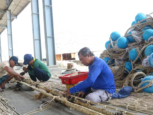 Nghề vá lưới, làm cào ở xứ biển