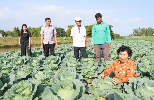 កសិ​ករ​ខ្មែរ​រវៀស​រវៃ​បង្វែរ​ផលិត ឈាន​ឡើង​លំ​នឹង​ជីវ​ភាព