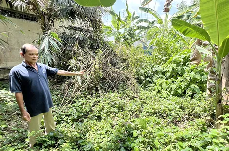 Mòn mỏi chờ dự án đường Phạm Ngũ Lão nối dài