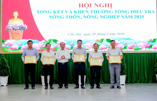 Khẩn trương biên soạn và công bố kết quả chính thức Tổng điều tra nông thôn, nông nghiệp năm 2025